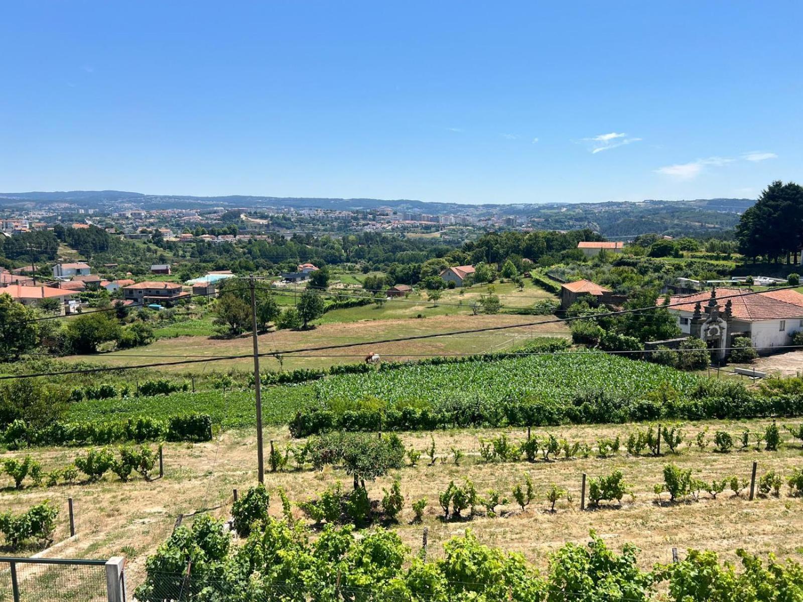 Casa Machado Villa Vila Real Eksteriør billede